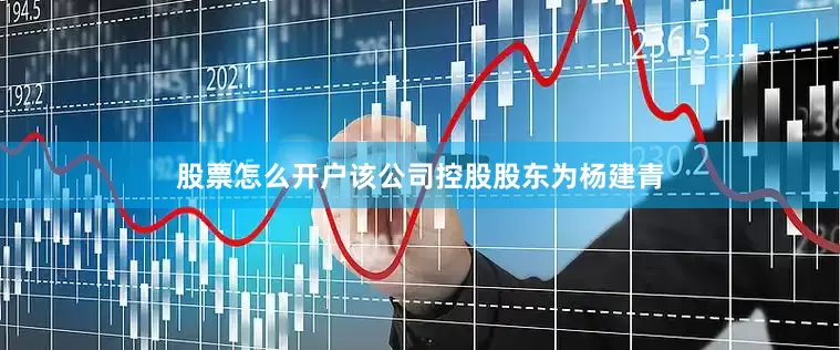 股票怎么开户该公司控股股东为杨建青