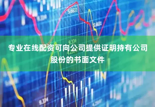 专业在线配资可向公司提供证明持有公司股份的书面文件